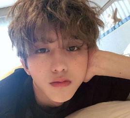 蔡徐坤爆料新闻视频下载,揭秘背后惊人真相